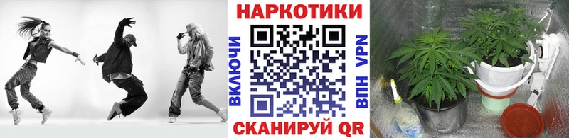 Купить наркотик аптеки Вилючинск Канабис  Псилоцибиновые грибы  ГАШ 