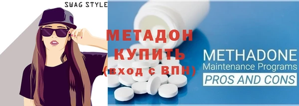 хмурый Аркадак