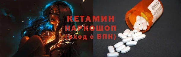 хмурый Аркадак