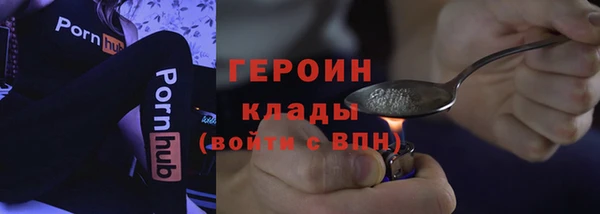 хмурый Аркадак