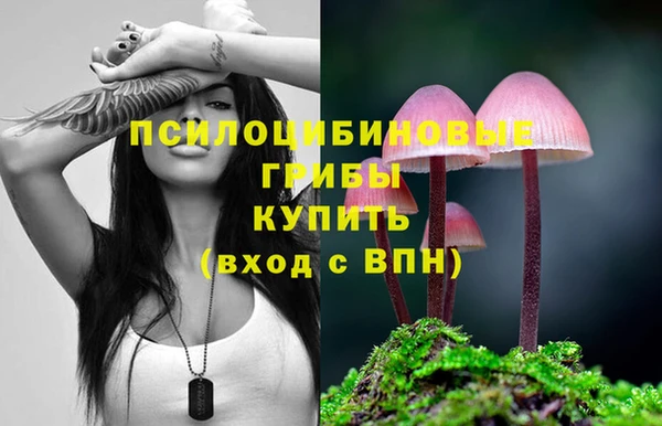 дживик Арсеньев