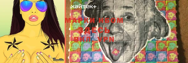 хмурый Аркадак