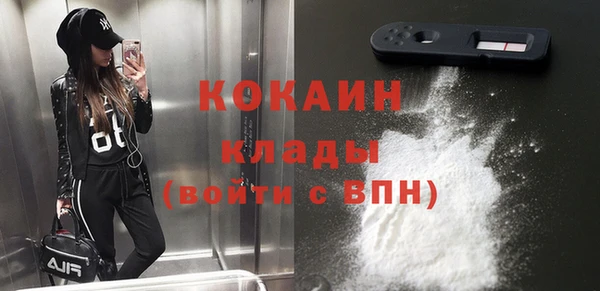 дживик Арсеньев