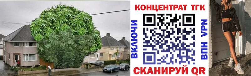 цены наркотик  Вилючинск  Дистиллят ТГК THC oil 