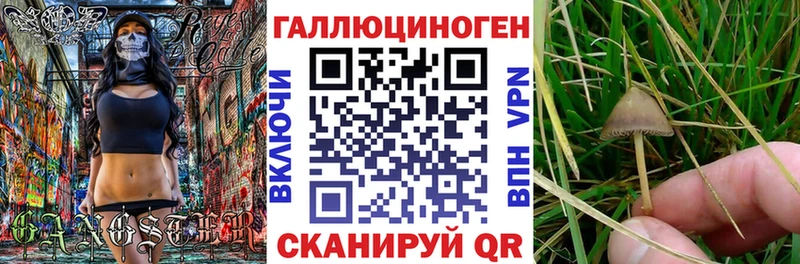 hydra зеркало  Вилючинск  Псилоцибиновые грибы MAGIC MUSHROOMS 